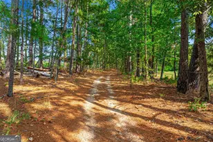 222 Lexington-Carlton Rd, Lexington, GA 30648 - Photo 34