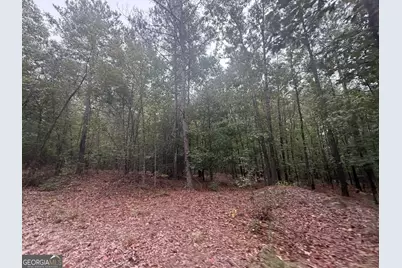 2643 Deepstep Creek Road, Sandersville, GA 31082 - Photo 62