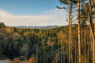 0 River Flow Drive, Dahlonega, GA 30533 - Photo 2