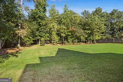 142 Drews Ridge Drive, Newnan, GA 30263 - Photo 46