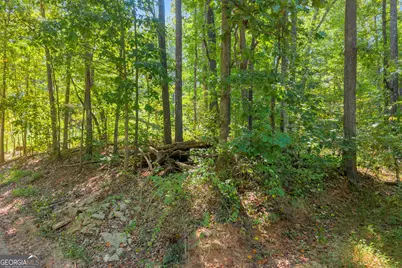 0 Ridgeview Court, Lavonia, GA 30553 - Photo 24