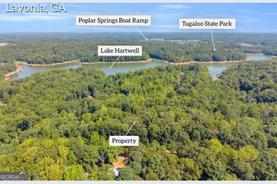 0 Ridgeview Court, Lavonia, GA 30553 - Photo 8