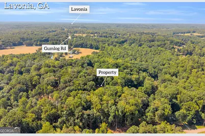 0 Ridgeview Court, Lavonia, GA 30553 - Photo 4