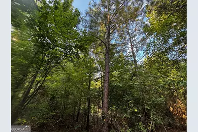 2807 Cedar Creek Road, Elberton, GA 30635 - Photo 12