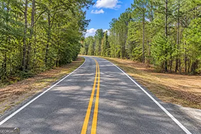 1.04 Acres Willow Lake Road, Fort Valley, GA 31030 - Photo 4