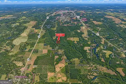 1.04 Acres Willow Lake Road, Fort Valley, GA 31030 - Photo 2
