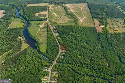 1.04 Acres Willow Lake Road, Fort Valley, GA 31030 - Photo 8