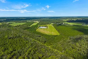 7919 Hwy 84 E, Patterson, GA 31557 - Photo 64