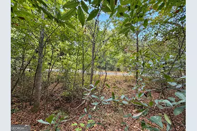 2.4 Acres Flamingo Estate, Hawkinsville, GA 31036 - Photo 8
