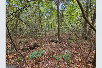 2.4 Acres Flamingo Estate, Hawkinsville, GA 31036 - Photo 10