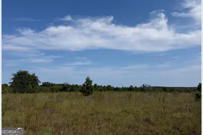 005 Long Branch Road, Toomsboro, GA 31090 - Photo 4