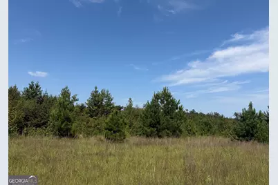 005 Long Branch Road, Toomsboro, GA 31090 - Photo 14