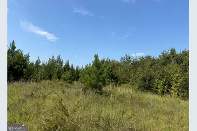 005 Long Branch Road, Toomsboro, GA 31090 - Photo 1