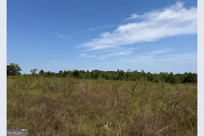 005 Long Branch Road, Toomsboro, GA 31090 - Photo 12