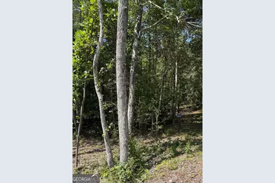 0 Highway 92 & 166, Douglasville, GA 30135 - Photo 2