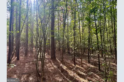 0 Tract A Cool Springs Road, Winston, GA 30187 - Photo 10