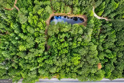 1.5 Acres Mt Pleasant Road, Clyo, GA 31303 - Photo 2