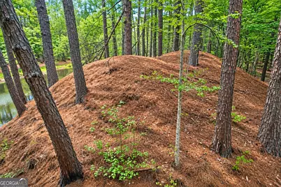 1.5 Acres Mt Pleasant Road, Clyo, GA 31303 - Photo 8
