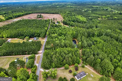 1.5 Acres Mt Pleasant Road, Clyo, GA 31303 - Photo 16