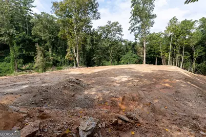 3280 Old Burnt Mountain Road TRACT #3, Jasper, GA 30143 - Photo 8