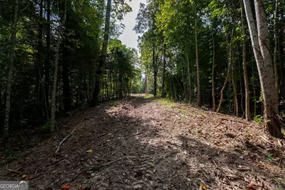 3280 Old Burnt Mountain Road TRACT #3, Jasper, GA 30143 - Photo 14