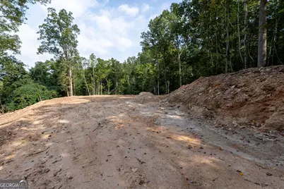 3280 Old Burnt Mountain Road TRACT #3, Jasper, GA 30143 - Photo 10