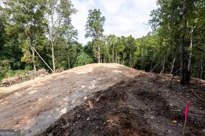 3280 Old Burnt Mountain Road TRACT #3, Jasper, GA 30143 - Photo 12