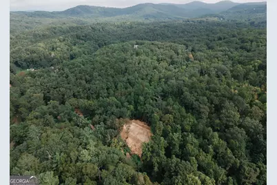 3280 Old Burnt Mountain Road TRACT #3, Jasper, GA 30143 - Photo 4