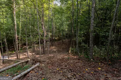 3280 Old Burnt Mountain Road TRACT #3, Jasper, GA 30143 - Photo 18
