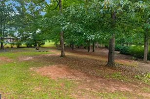 738 Old Greenville Rd, Fayetteville, GA 30215 - Photo 68