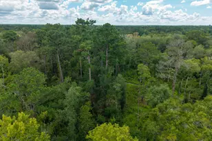 5450 Hambrick Rd, Hahira, GA 31632 - Photo 72