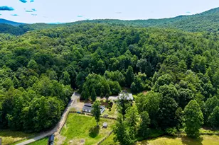 771 Burgess Gap Rd, Morganton, GA 30560 - Photo 34