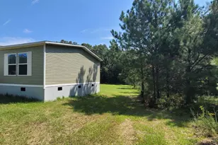 121 Pecan Grove Rd, Sylvania, GA 30467 - Photo 4