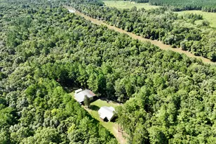 239 Coleman Landing Rd, Hawkinsville, GA 31036 - Photo 2