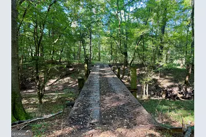 239 Coleman Landing Road, Hawkinsville, GA 31036 - Photo 36