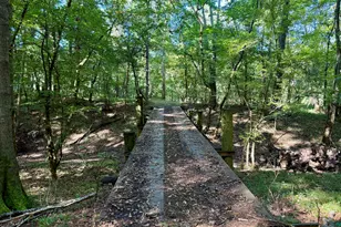 239 Coleman Landing Rd, Hawkinsville, GA 31036 - Photo 36