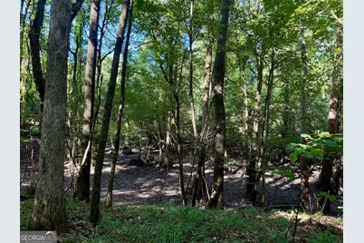 239 Coleman Landing Road, Hawkinsville, GA 31036 - Photo 34