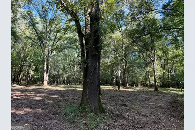 239 Coleman Landing Road, Hawkinsville, GA 31036 - Photo 28