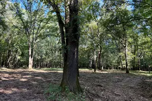 239 Coleman Landing Rd, Hawkinsville, GA 31036 - Photo 28