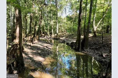 239 Coleman Landing Road, Hawkinsville, GA 31036 - Photo 20