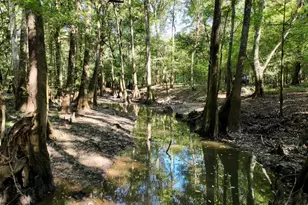 239 Coleman Landing Rd, Hawkinsville, GA 31036 - Photo 20