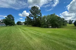 450 Coy Cox Rd, Omega, GA 31775 - Photo 74