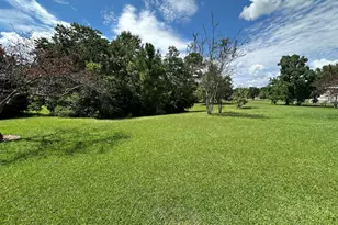 450 Coy Cox Rd, Omega, GA 31775 - Photo 4