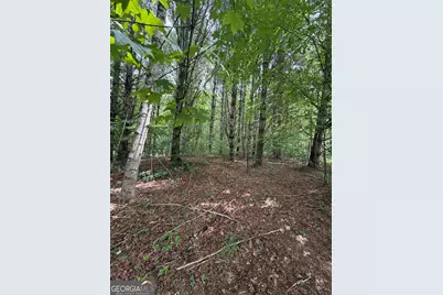 0 Baker Creek Road, Suches, GA 30572 - Photo 10
