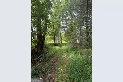 0 Baker Creek Road, Suches, GA 30572 - Photo 12