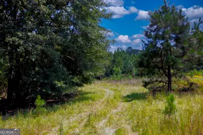 3480 Highway 56 N, Waynesboro, GA 30830 - Photo 30