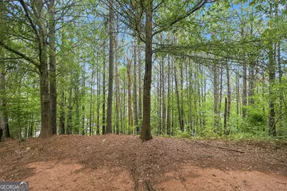 7060 Ravenwood Lane, Lithonia, GA 30038 - Photo 20