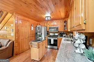 405 Donna Lee Ln, Mineral Bluff, GA 30559 - Photo 14