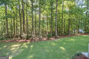 300 Weeping Willow Way, Tyrone, GA 30290 - Photo 48