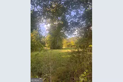 2734 Flat Shoals Road, Concord, GA 30206 - Photo 2